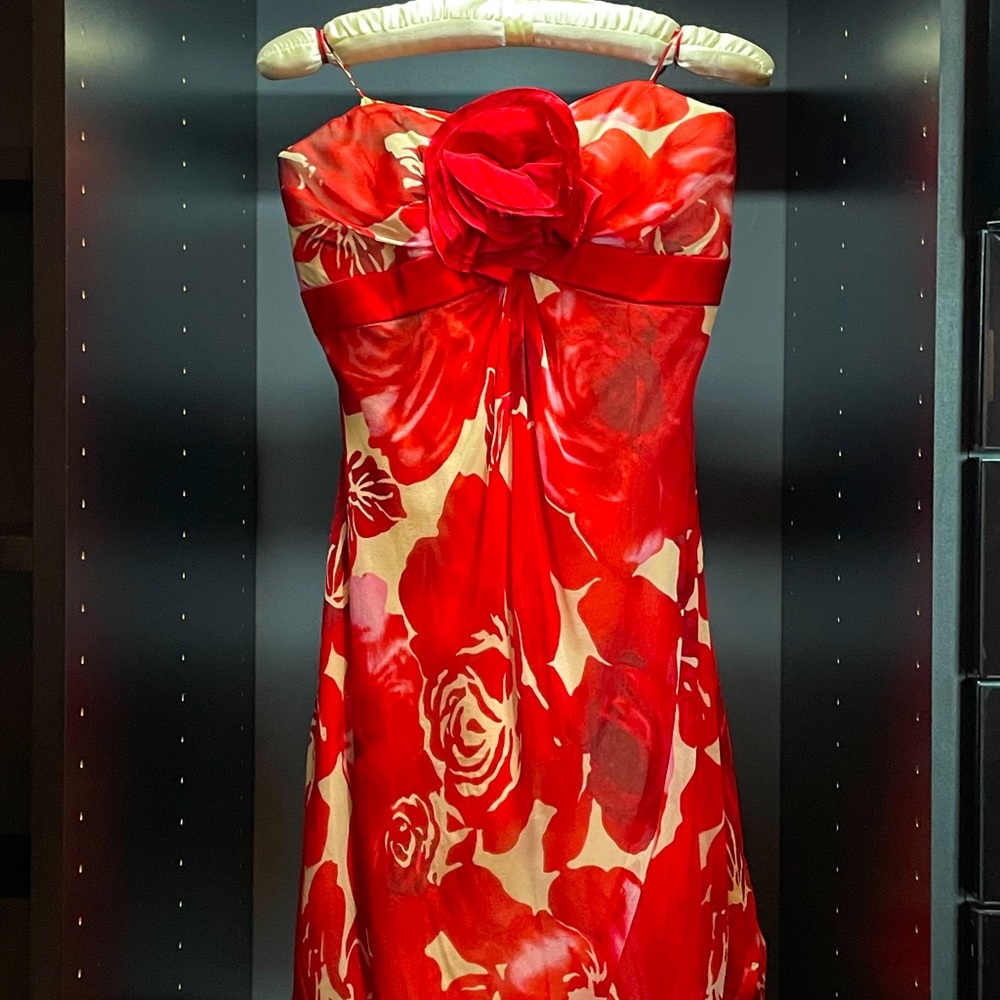Badgley Mischka Rose Petal Dress